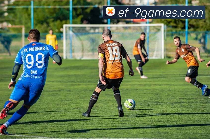 九游会J9COM官网APP 封面图